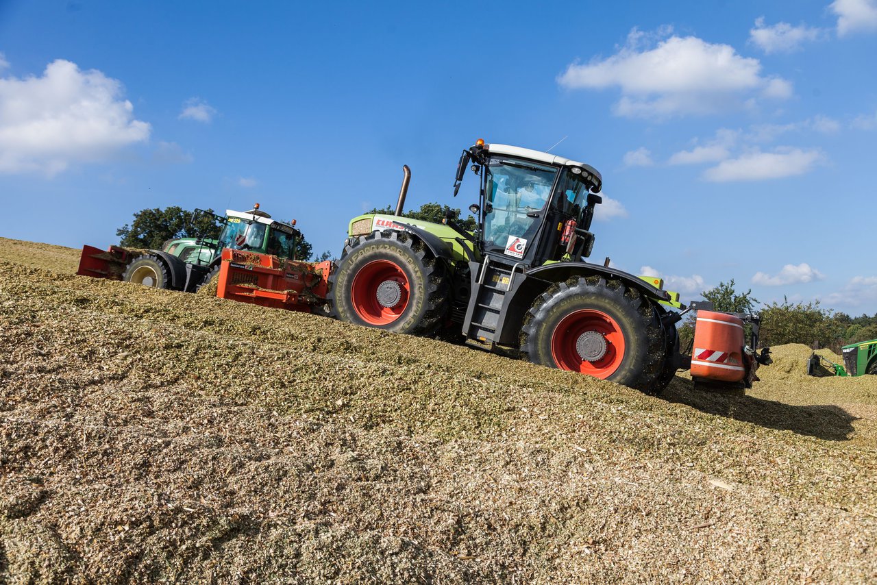 Bild 141 - Maisernte